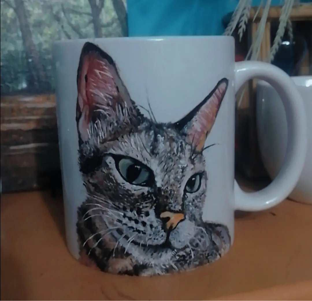 Feline Stare